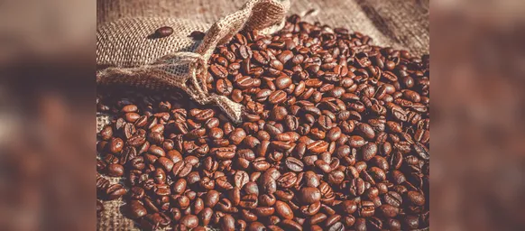 Preço do café vai cair? Brasil se prepara para colheita histórica - Imagem