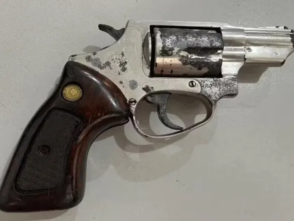 Comissão do Senado aprova projeto que flexibiliza acesso a armas de fogo - Imagem