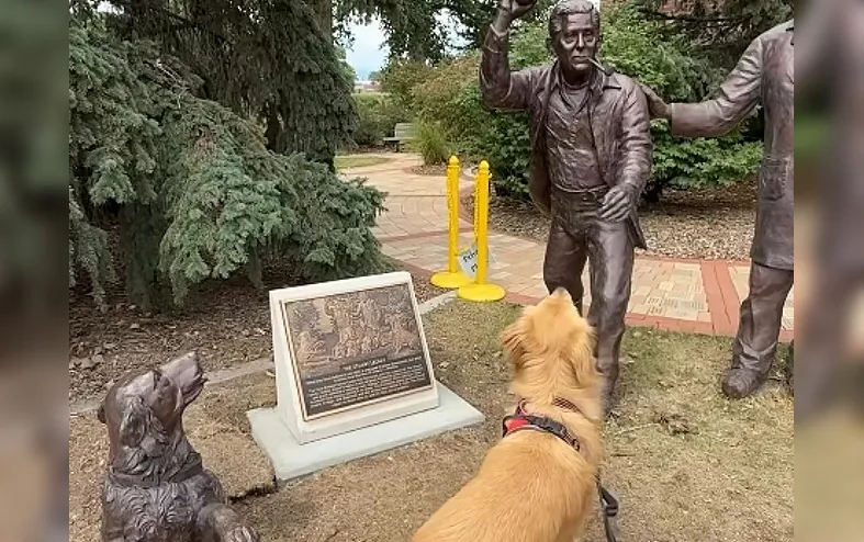 A maior decepção de um golden retriever: ele achou que uma estátua jogaria a bolinha - Imagem
