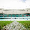 Arena Fonte Nova conclui substituição do gramado; veja fotos - Imagem