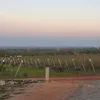 Vinícolas de altitude da Chapada revelam o segredo do 'terroir' e da dupla poda - Imagem