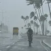 Sobe para 12 o número de sirenes de alerta ativadas pela Codesal - Imagem