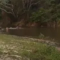 Adolescente com autismo e jovem morrem afogados no sul da Bahia imagem