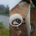Água da chuva invade casas em Lauro de Freitas e desespera moradores imagem