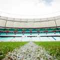 Arena Fonte Nova conclui substituição do gramado; veja fotos imagem