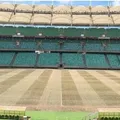 Arena Fonte Nova deve ganhar gramado novo nos próximos dias imagem
