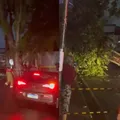 Vídeo: árvore cai sobre barraca de lanches em Salvador imagem