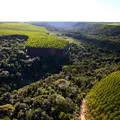 ABAF é confirmada para fazer parte da delegação brasileira na COP 30 imagem