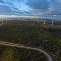 Bahia lidera geração de energia eólica e é destaque em evento nacional imagem