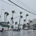 Salvador terá nova semana de chuva forte? Confira a previsão imagem
