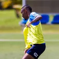 Com Ademir, Bahia divulga relacionados para enfrentar o Palmeiras imagem