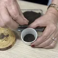 Como fazer sementeira ecológica? Saiba no Descomplicando a Sustentabilidade imagem