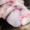 Considerado peixe de pobre, essa é uma das melhores fontes de proteína imagem