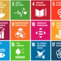 Descomplicando a Sustentabilidade: como agir no dia a dia pelos ODS imagem