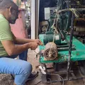 Fake news e herança: morte de estofador suspeito de estupro tem novos detalhes imagem