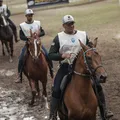Fenagro 2025: como funciona o julgamento de raças de cavalo na feira imagem