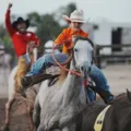 Fenagro 2025 terá competições equestres para crianças e mulheres imagem