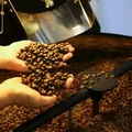 Fim do tarifaço? EUA cortam tarifas da carne e do café imagem