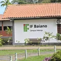 IF Baiano abre inscrições para 1,8 mil vagas em cursos técnicos gratuitos imagem