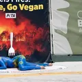 Luisa Mell pinta o corpo em protesto e critica cardápio na COP30: "Seja vegano” imagem