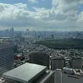 Maior cidade do mundo recebe cada vez mais turistas brasileiros; conheça imagem