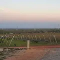 Vinícolas de altitude da Chapada revelam o segredo do 'terroir' e da dupla poda imagem