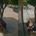 Vídeo: mulher é flagrada agredindo a mãe com socos e puxões de cabelo imagem