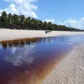 Nem toda restinga pode ser APP: o julgamento do STJ e a repercussão nacional do REsp 1.827.303/SC imagem
