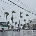 Mais de mil pessoas tiveram casas afetadas por fortes chuvas na Bahia imagem