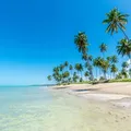 Praia do litoral do Nordeste é umas das mais preservadas do Brasil imagem