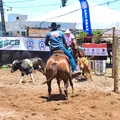 Ranch Sorting: como funciona a competição 'queridinha' da Fenagro imagem