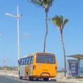 Rota inédita: Salvador pode ganhar nova linha de transporte imagem