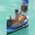 Saiba quem é o ator +18 investigado pelo MP por vídeo de sexo em jetski imagem