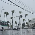 Salvador em alerta: 90% de chance de chuva forte e ventos turbulentos imagem