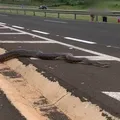VÍDEO: cobra de 5 metros é flagrada atravessando rodovia imagem