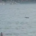 Vídeo: corpo aparece boiando em praia de Salvador imagem
