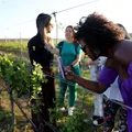 Visite Bahia: plataforma conecta turistas e empreendedores a famoso destino imagem