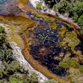 Em Areias, a poluição da Tronox mata, destrói famílias e causa câncer imagem
