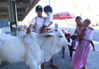 Fenagro 2025 terá lazer para a família com ingressos a partir de R$10