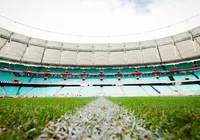 Arena Fonte Nova conclui substituição do gramado; veja fotos imagem