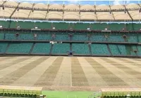 Arena Fonte Nova deve ganhar gramado novo nos próximos dias