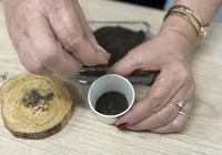 Como fazer sementeira ecológica? Saiba no Descomplicando a Sustentabilidade