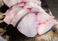 Considerado peixe de pobre, essa é uma das melhores fontes de proteína imagem