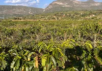 Da fazenda à xícara, Igaraçu revela segredo por trás dos cafés especiais