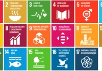 Descomplicando a Sustentabilidade: como agir no dia a dia pelos ODS imagem