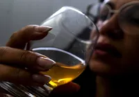 Falsificação de bebidas pode virar crime hediondo