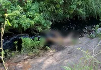 Família de garoto raptado fornece DNA para identificação de corpo imagem