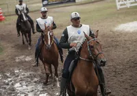 Fenagro 2025: como funciona o julgamento de raças de cavalo na feira imagem