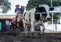 Fenagro 2025 promete superar recordes e movimentar mais de R$ 120 milhões
