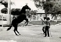 Fenagro em flashes: as curiosidades e a trajetória de 37 anos da feira